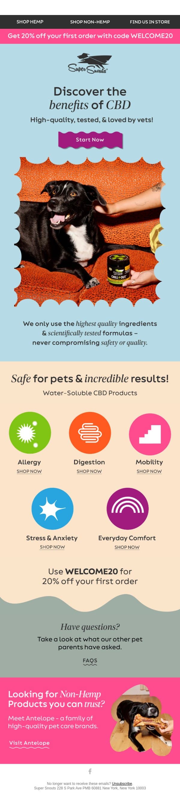 Discover the Power of CBD 🐶 email from Super Snouts screenshot