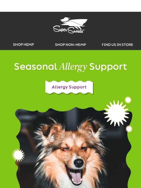 Tired of your petβs seasonal allergies? email from Super Snouts