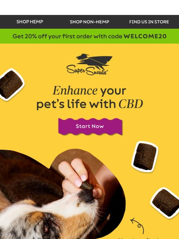 Welcome to Super Snouts Hemp Company! email from Super Snouts