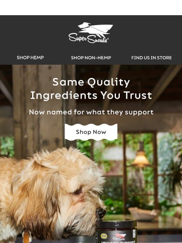 UPDATE: New Names, Same Trusted Recipes 🐶 email from Super Snouts