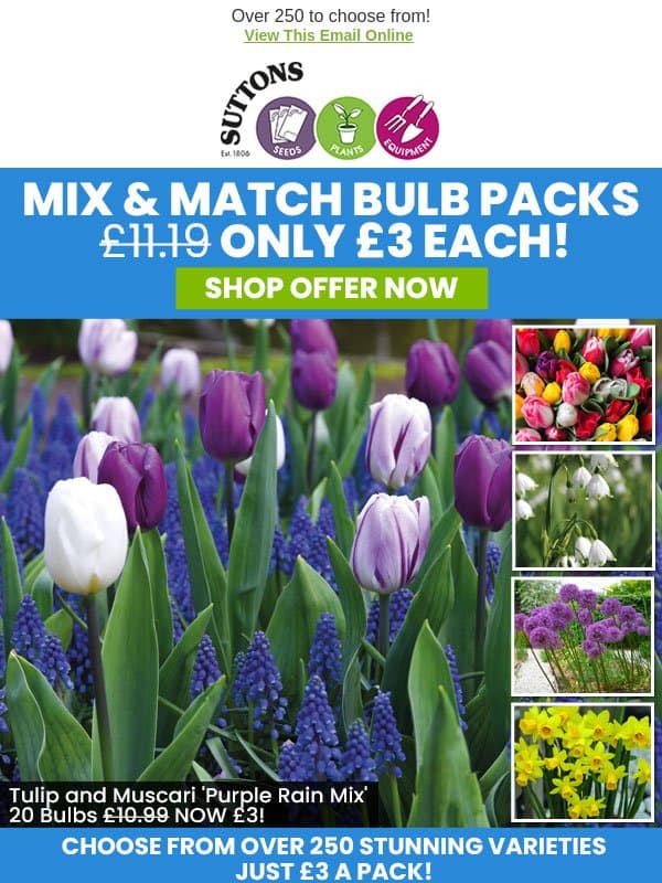 Only £3! Mix & Match Bulb Packs ENDS TONIGHT email from Suttons Seeds