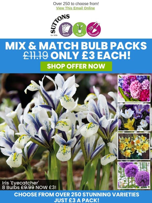 Only £3! Mix & Match Bulb Packs email from Suttons Seeds