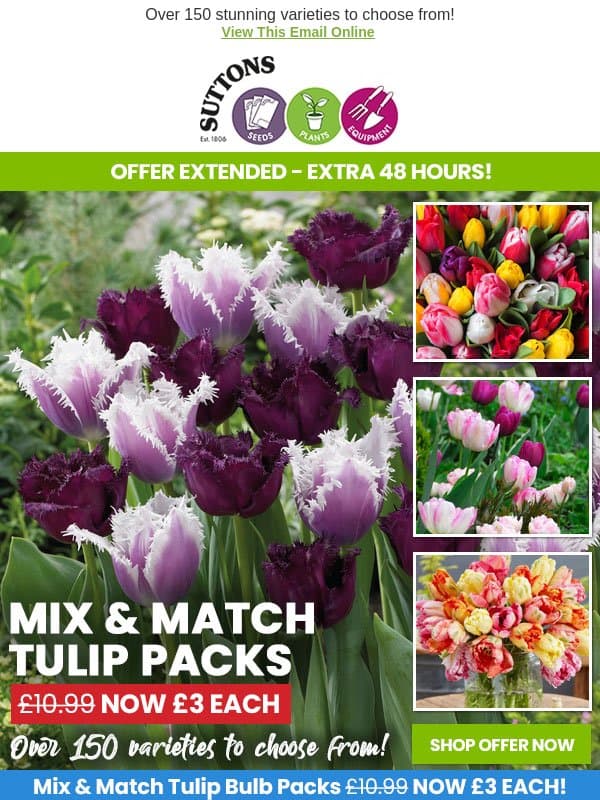 🌷 Mix & Match Tulips - Just £3 Each! EXTRA 48 HOURS! email from Suttons Seeds