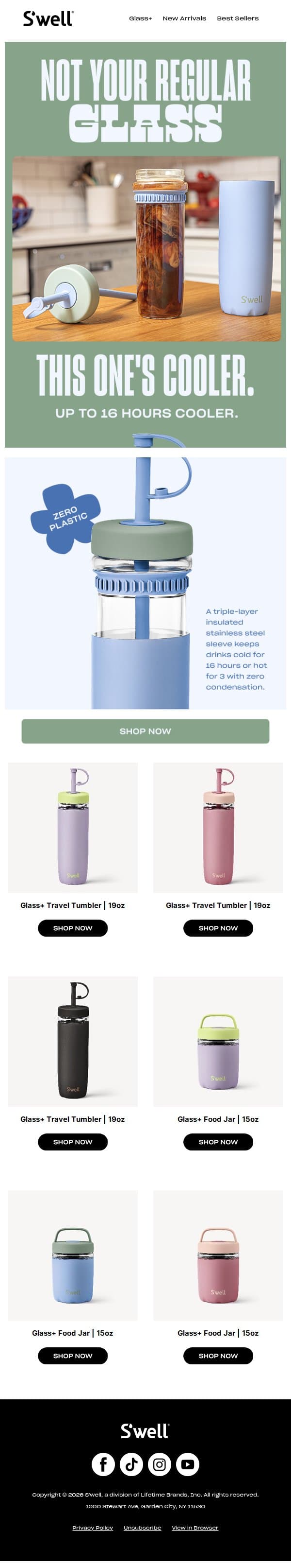 You Didn't Know Glass Could Stay Cold All Day email from S'well screenshot