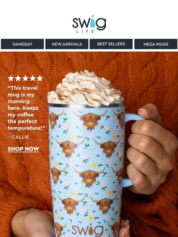 Best Birthday Gift Ever - Holy Cow! 🎂 email from Swig Life