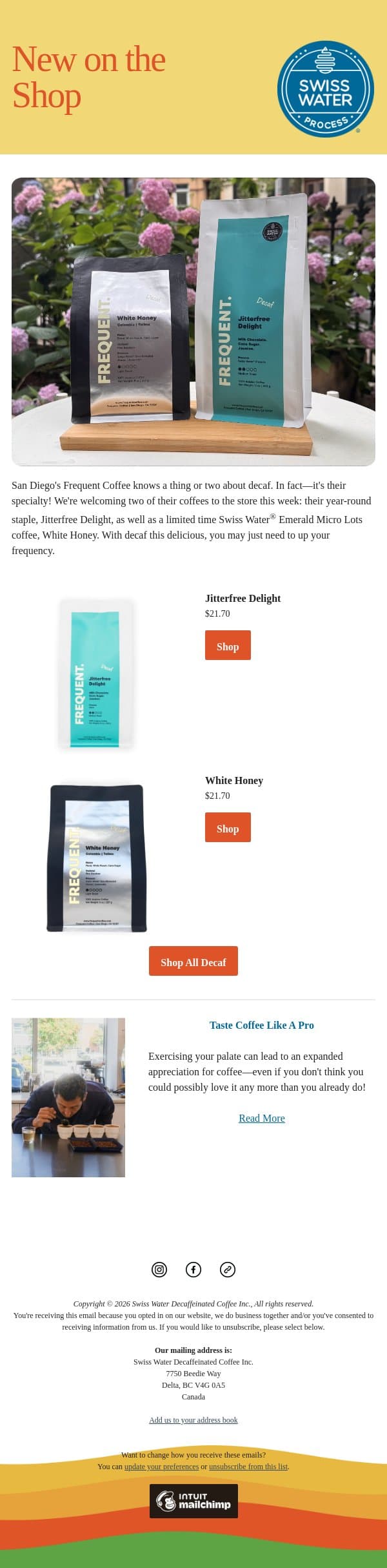New on the store: Frequent Coffee email from Swiss Water Decaf screenshot