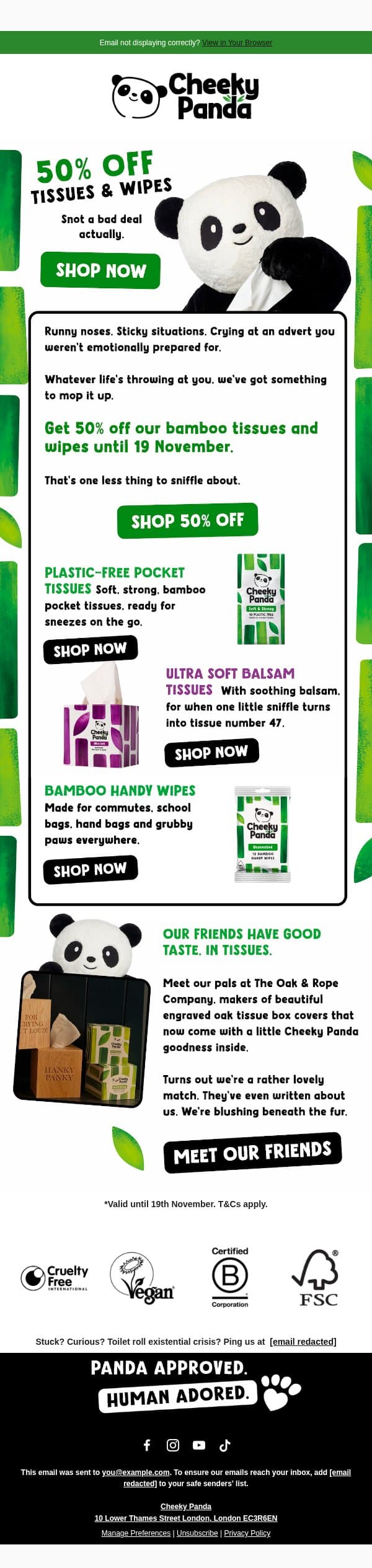 Big sniffles? BIGGER savings email from The Cheeky Panda screenshot