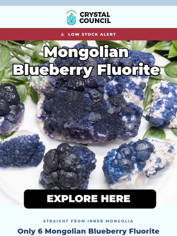 🔥 Last Chance: Rare Mongolian Blueberry Fluorite email from The Crystal Council