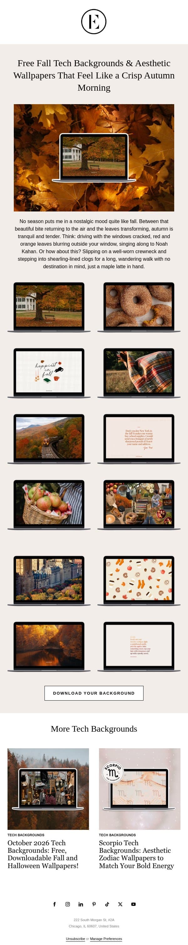 free fall tech backgrounds 🤎 email from The Everygirl screenshot