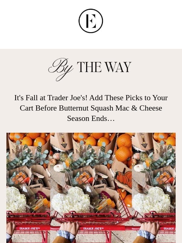 get these trader joe's fall picks before they're gone 🥖🎃🍎 email from The Everygirl