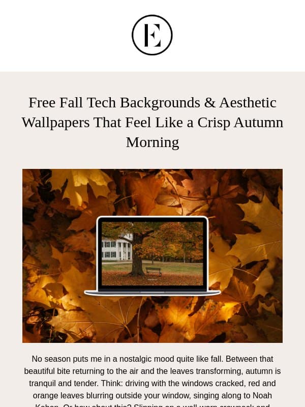 free fall tech backgrounds 🤎 email from The Everygirl