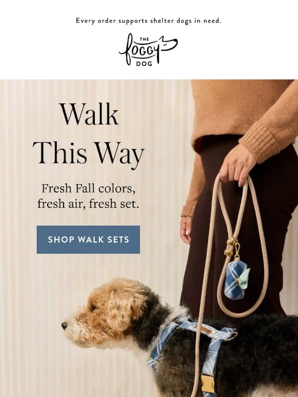 Take the scenic route 🏞️ email from The Foggy Dog
