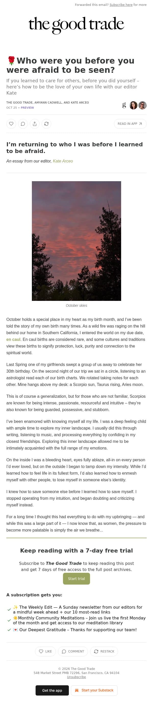 🌹Who were you before you were afraid to be seen? email from The Good Trade screenshot