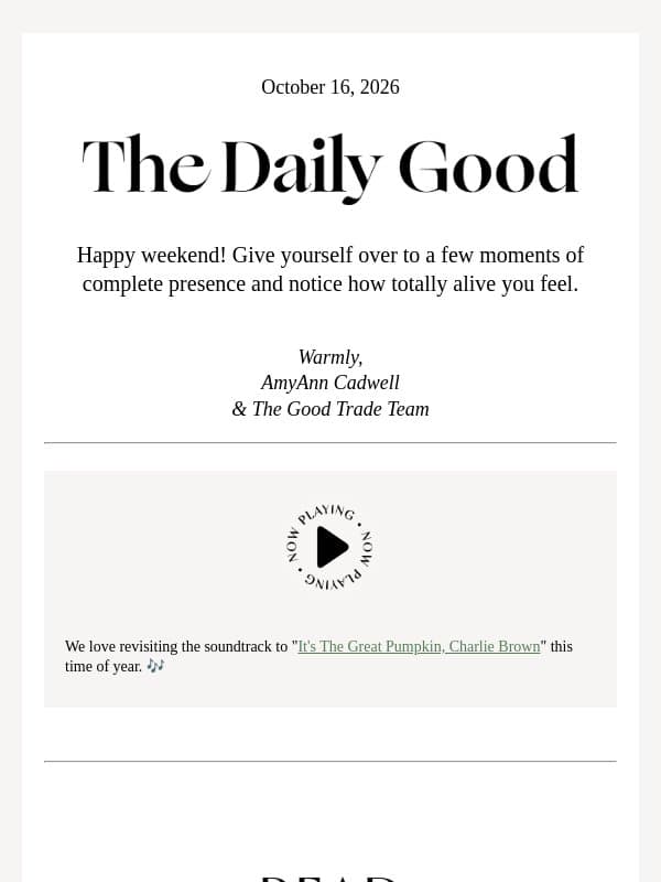 10.16.26 | ❤️🩹 How an injury brought me back to presence email from The Good Trade