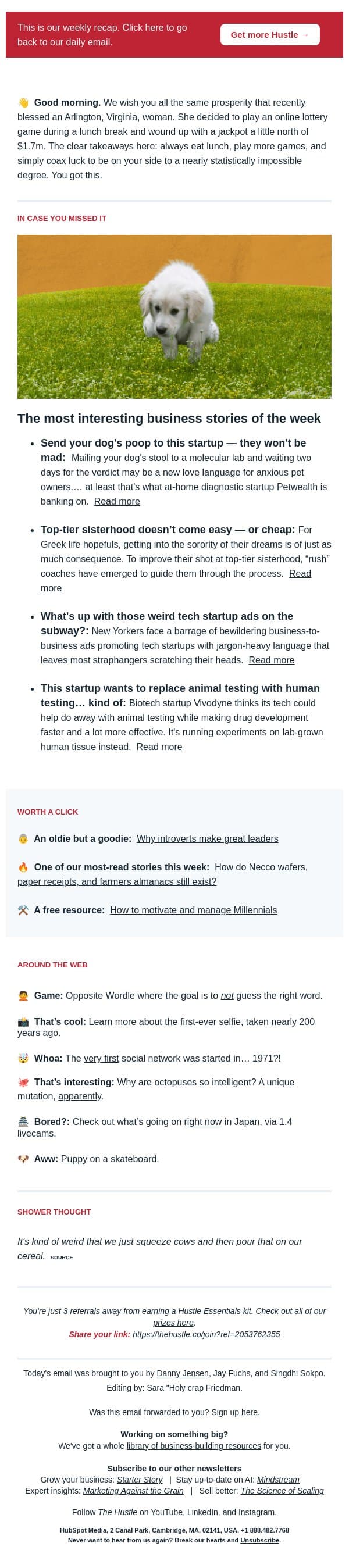 💩 A startup’s crapshoot email from The Hustle screenshot