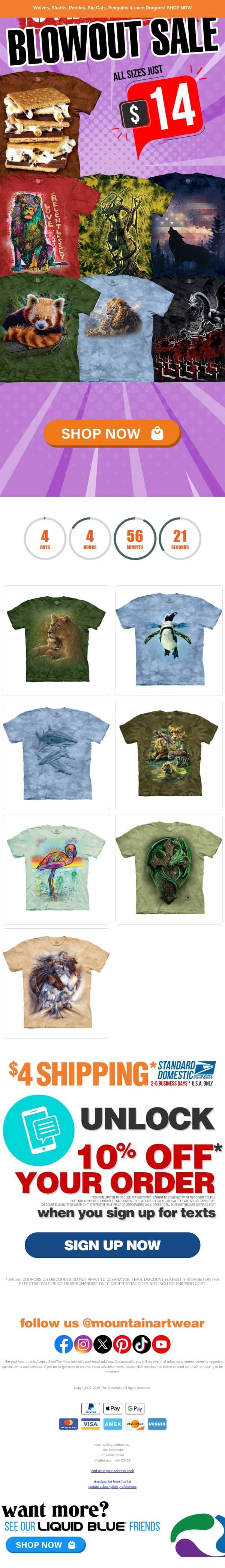 All sizes just $14 Overstock Blowout Sale email from The Mountain screenshot