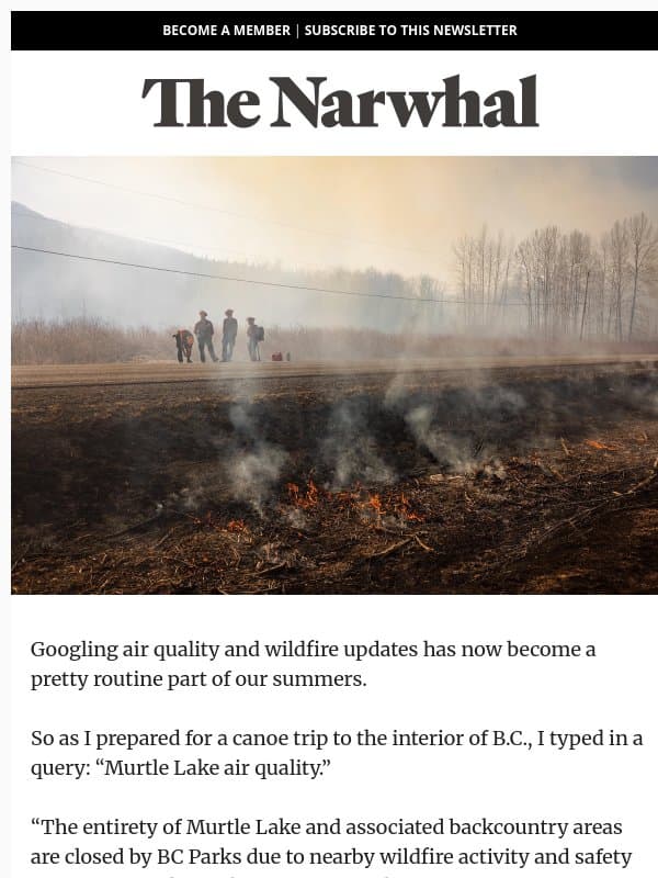 The AI wildfire slop machine email from The Narwhal