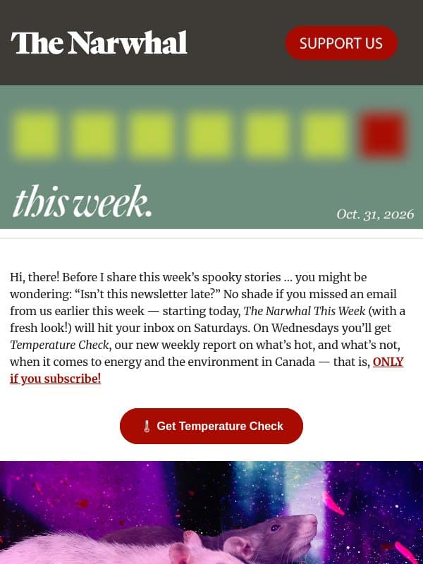 Creatures that lurk in the shadows email from The Narwhal