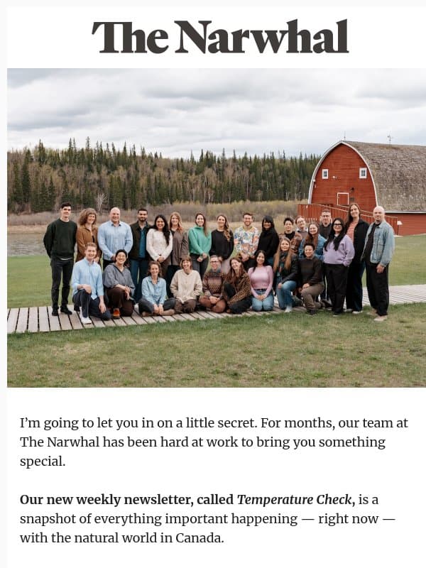 Coming soon to your inbox email from The Narwhal