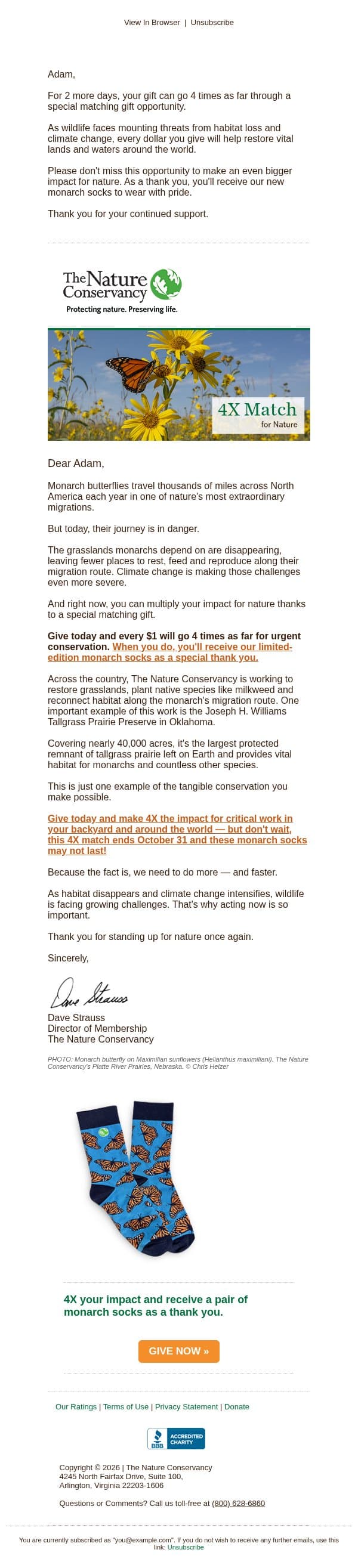 Monarch lovers, this is for you 🦋 email from The Nature Conservancy screenshot