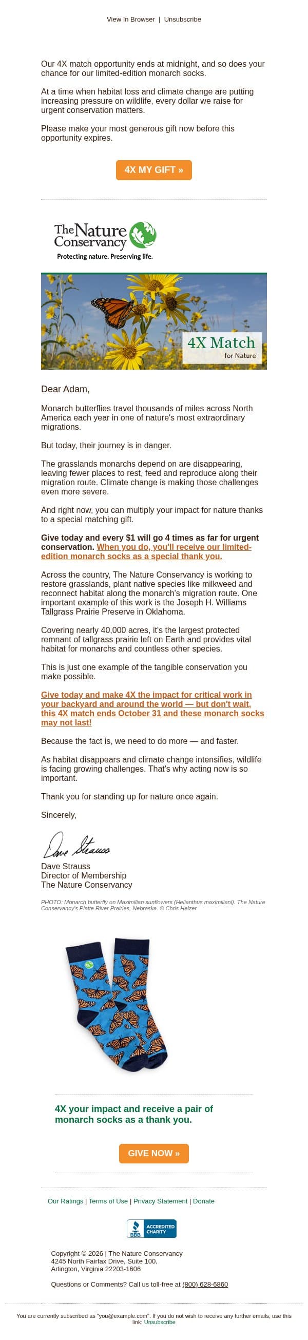 This chance flies away at midnight email from The Nature Conservancy screenshot