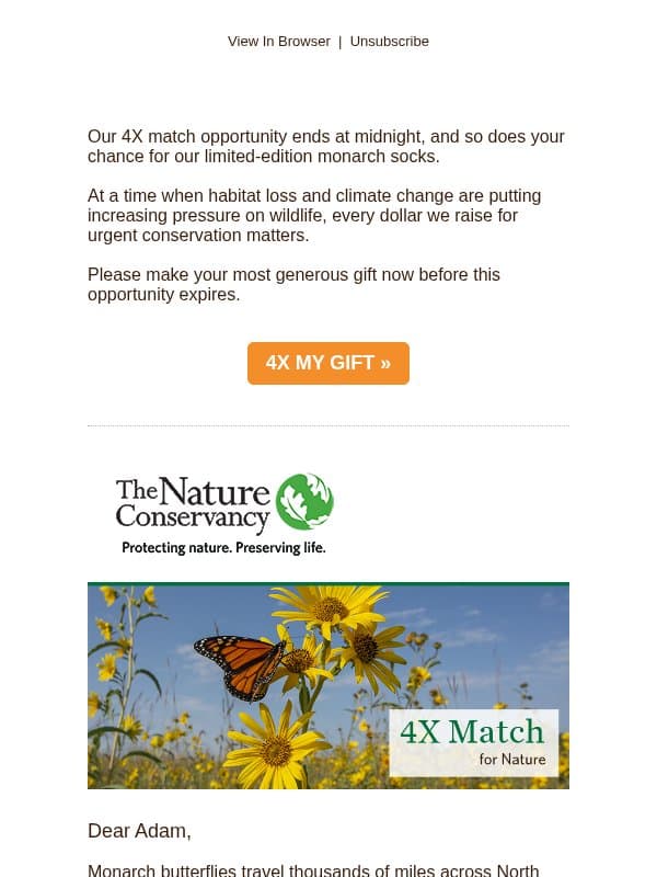 This chance flies away at midnight email from The Nature Conservancy