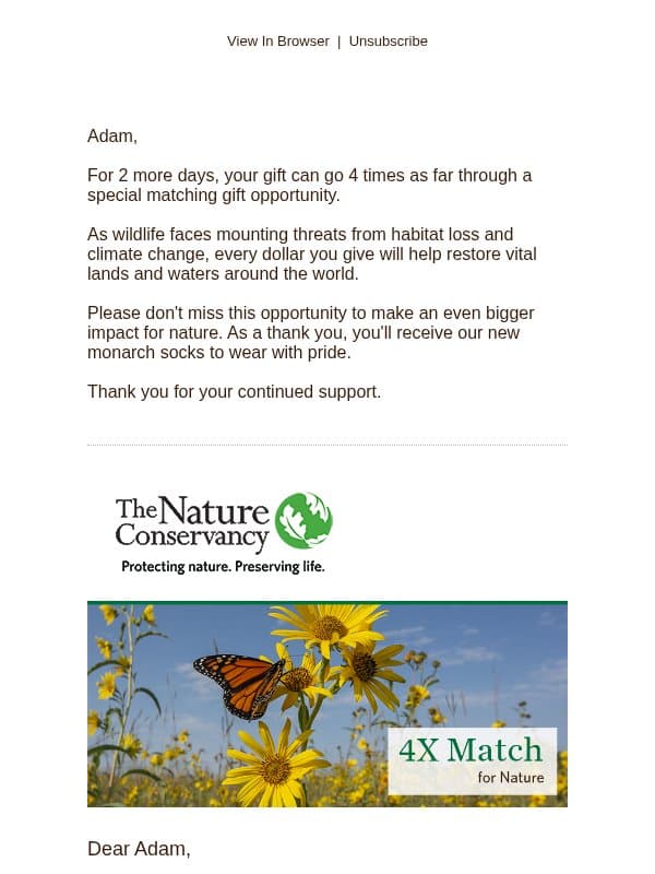 Monarch lovers, this is for you 🦋 email from The Nature Conservancy