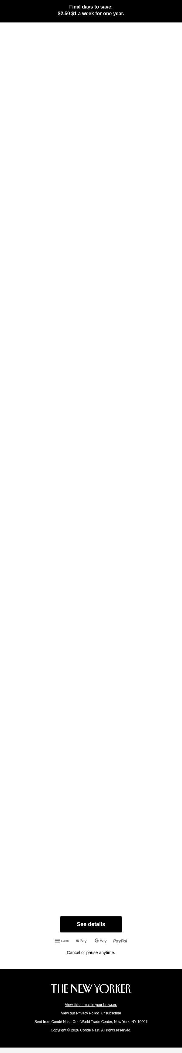 Political coverage with perspective email from The New Yorker screenshot