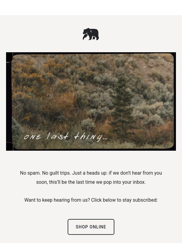 One last thing before we go email from The Normal Brand