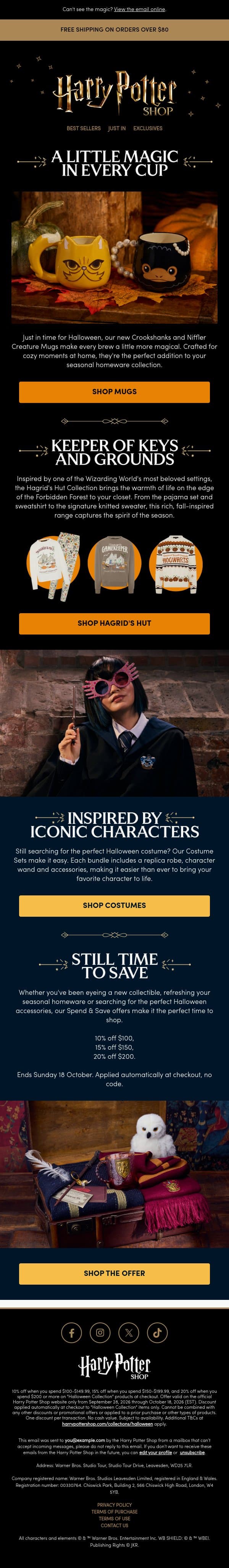 Meet Your New Cozy Companions email from The Official Harry Potter Shop screenshot