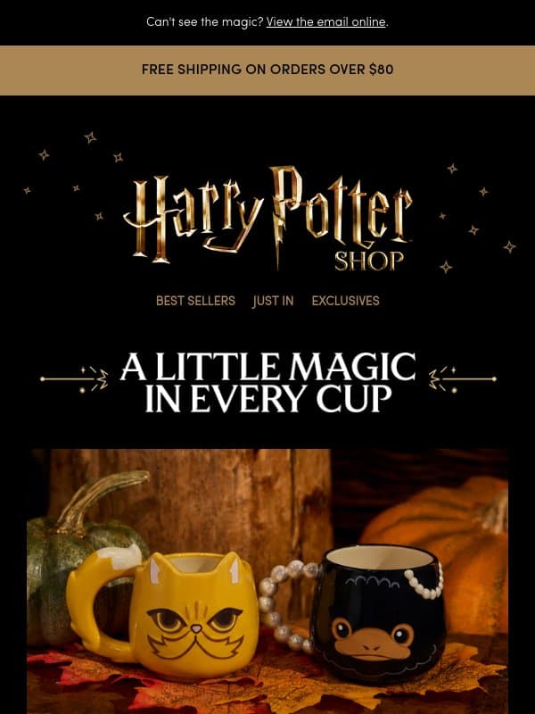 Meet Your New Cozy Companions email from The Official Harry Potter Shop