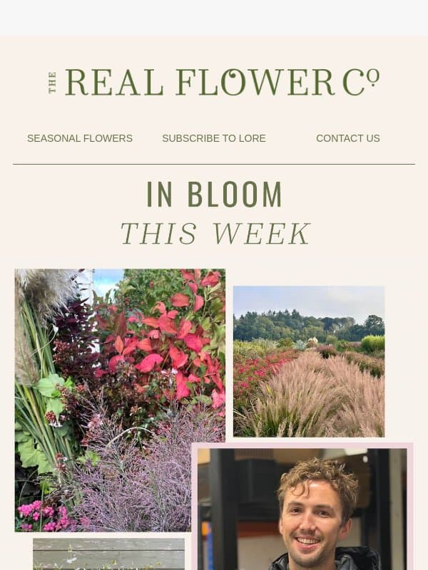 A Timeless Bouquet and a Puppy email from The Real Flower Company