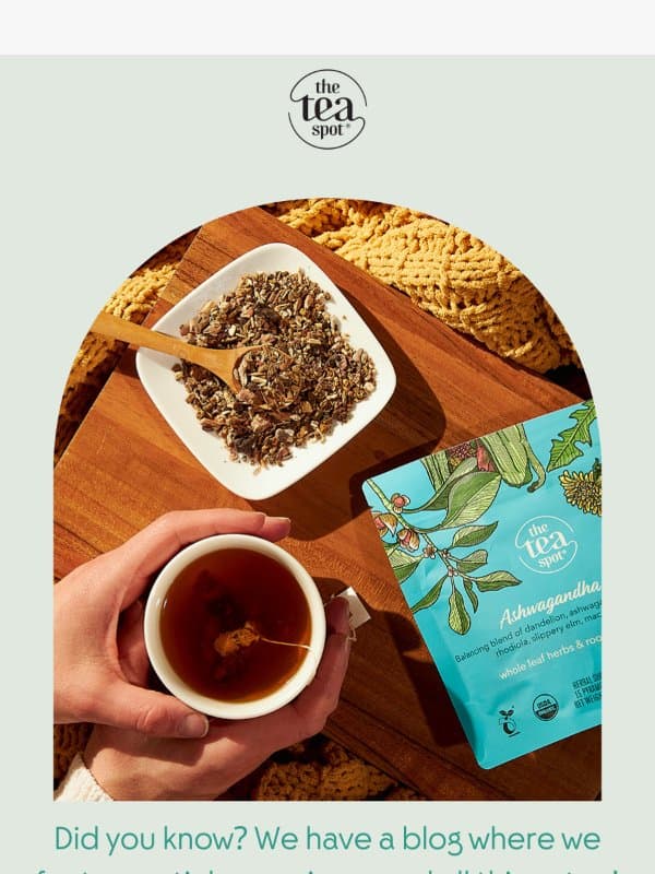 Access Granted email from The Tea Spot