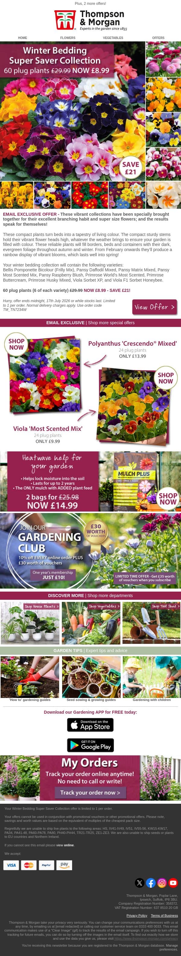 60 Winter Flowering Plants Only £8.99! email from Thompson & Morgan screenshot