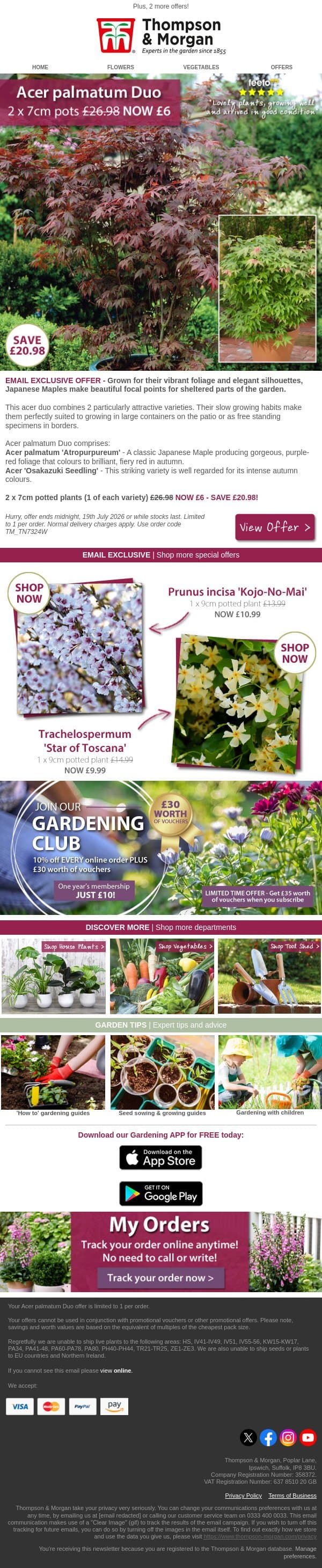2 Patio Acers - NOW £6! 48 HOURS ONLY! email from Thompson & Morgan screenshot
