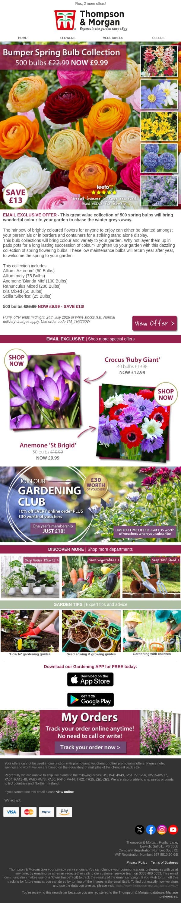 500 Bumper Bulb pack - less than 2p each email from Thompson & Morgan screenshot