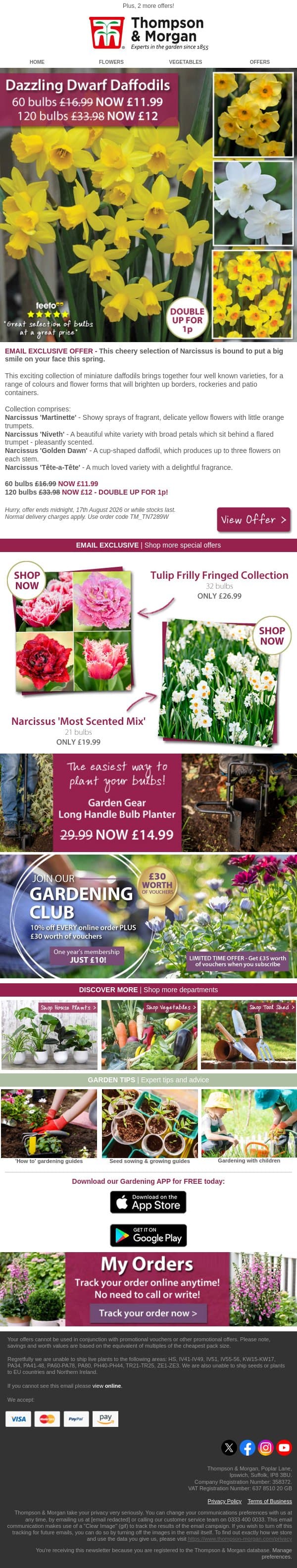 EXTRA 24 HOURS! Double for 1p extra on Dazzling Dwarf Daffodils email from Thompson & Morgan screenshot