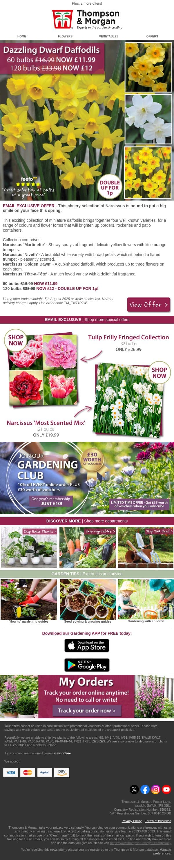 Dazzling Dwarf Daffodils – double for 1p extra email from Thompson & Morgan screenshot