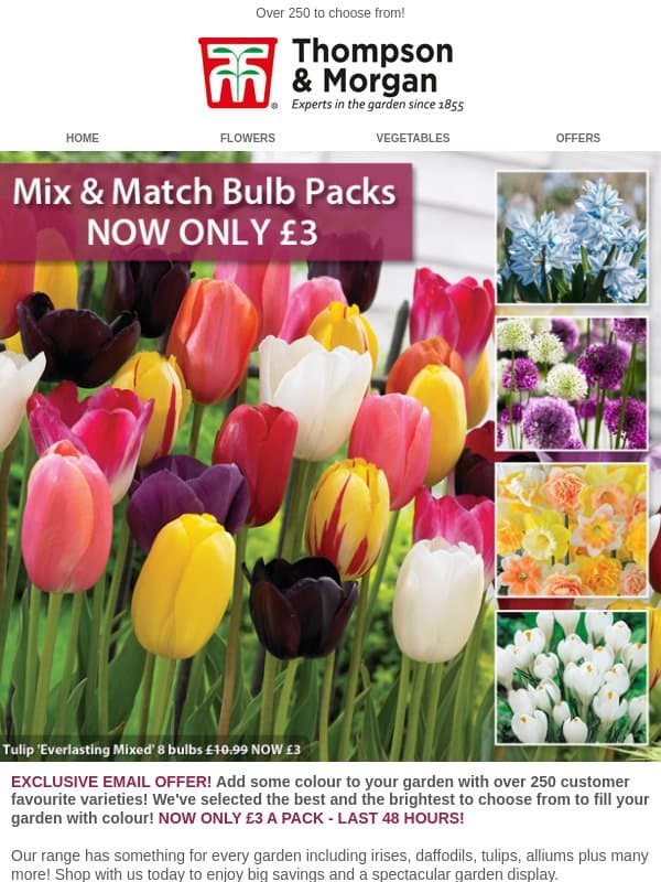 Only £3! Mix & Match Bulb Packs LAST 48 HOURS! email from Thompson & Morgan