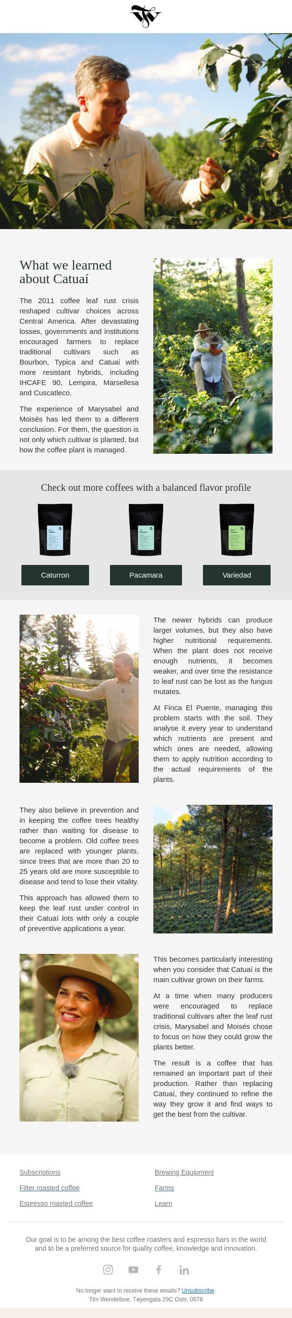 Growing Catuaí Differently ☕ email from Tim Wendelboe screenshot