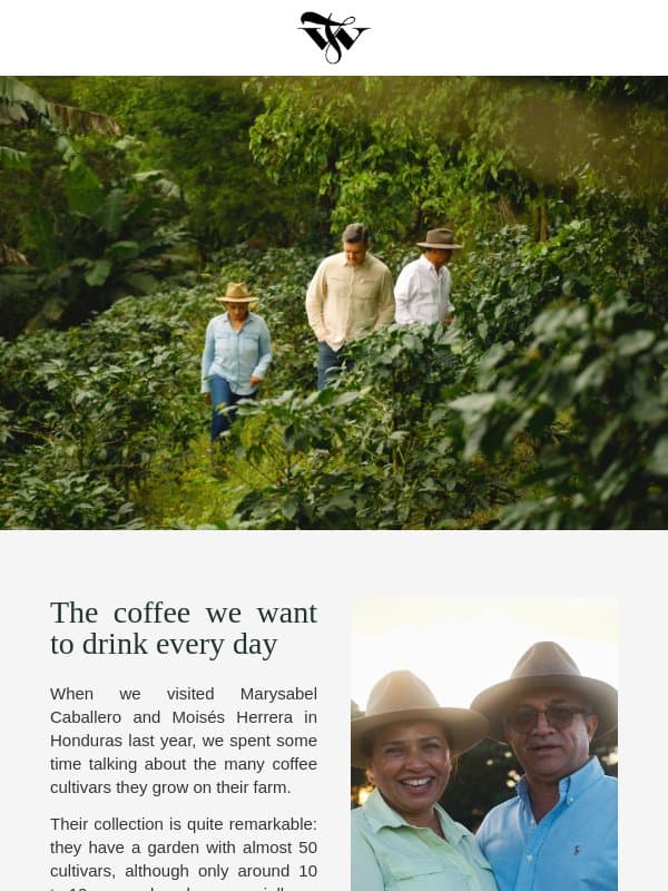 A coffee for every morning ☕ email from Tim Wendelboe