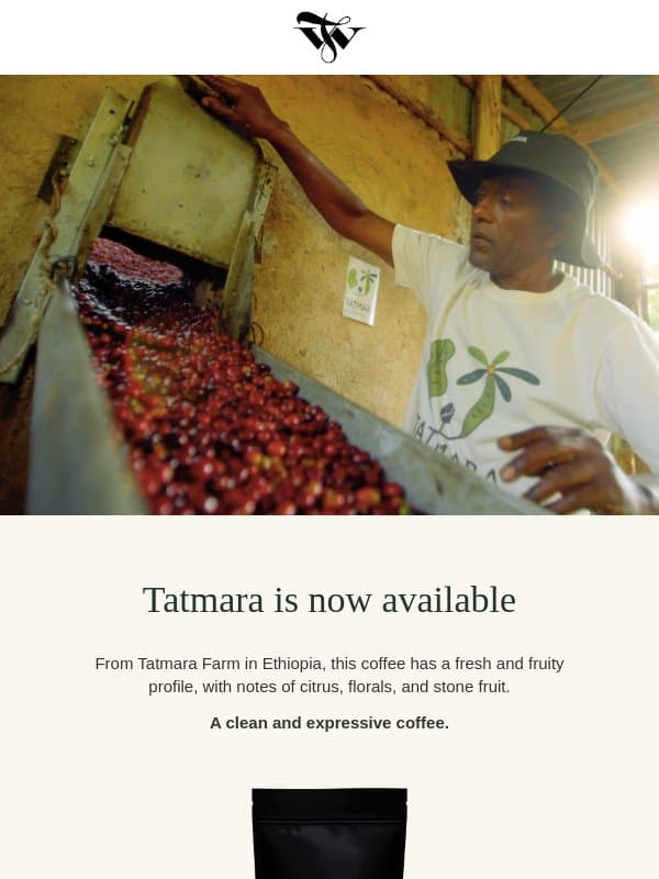 Tatmara from Ethiopia is now available ☕ email from Tim Wendelboe