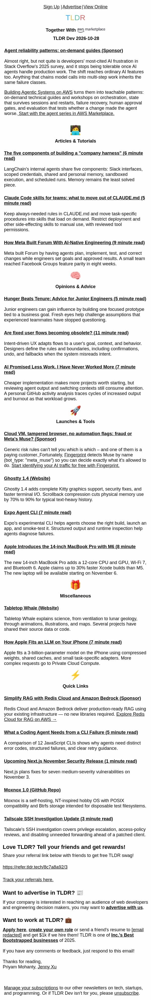Advice for junior devs π, company harnesses π₯, fixed user flows π± email from TLDR Cybersecurity screenshot