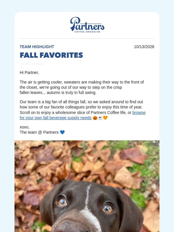 Sharing our team's fall rituals 🧡☕ email from Toby's Estate Coffee (now Partners Coffee)