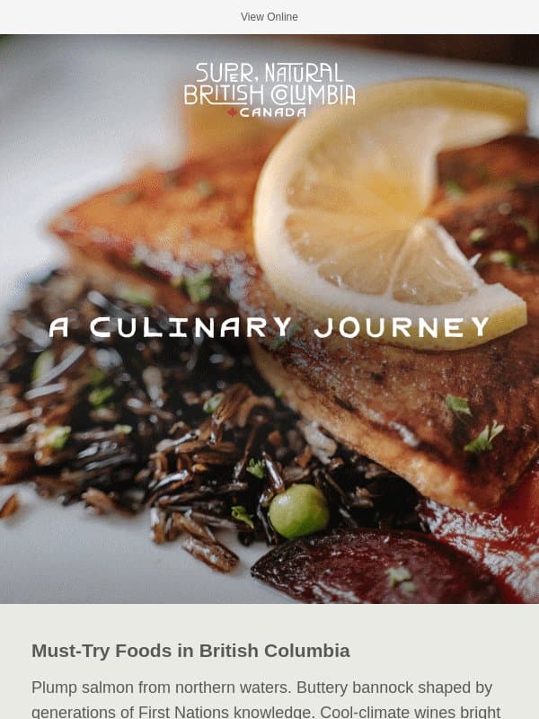 Lunch On a Dock, Dine in a Vineyard email from Tourism British Columbia