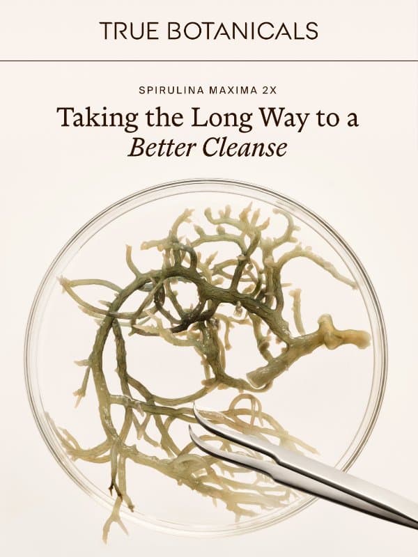 Why Spirulina Maxima? email from True Botanicals