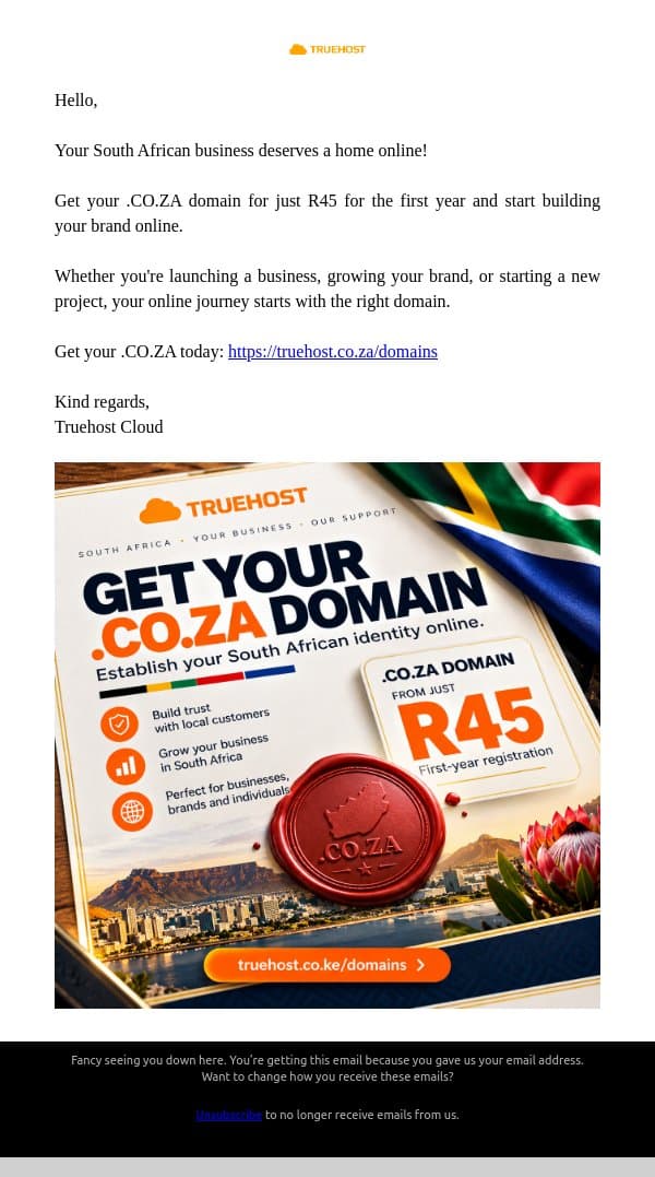 Get Your .CO.ZA Domain for Just R45 email from Truehost.co.za screenshot