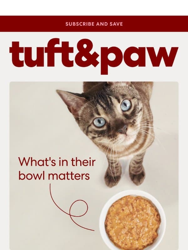 No fillers. No shortcuts. Just Really Great Cat Food. email from Tuft & Paw