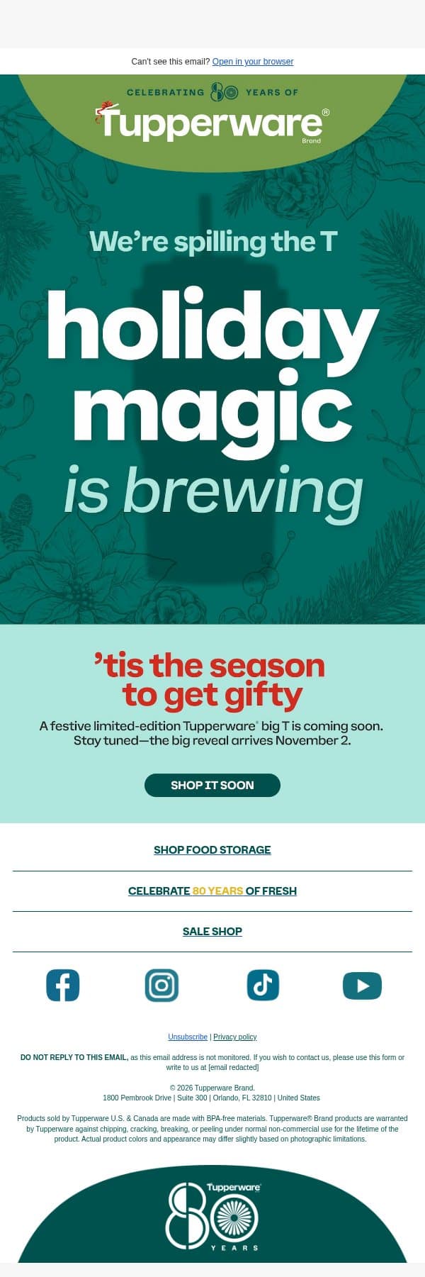 We’ve got a limited-edition holiday surprise for you. email from Tupperware screenshot