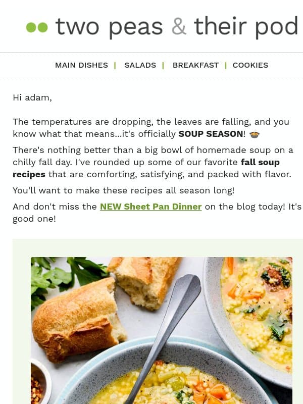 Cozy Fall Soups You'll Love 🥣 email from Two Peas and Their Pod